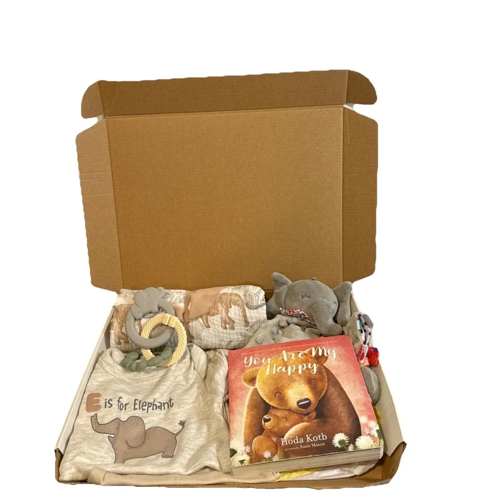 Baby Book Gift Box, Newborn Infant Essentials Present, Baby Animal Blanket Gifts
